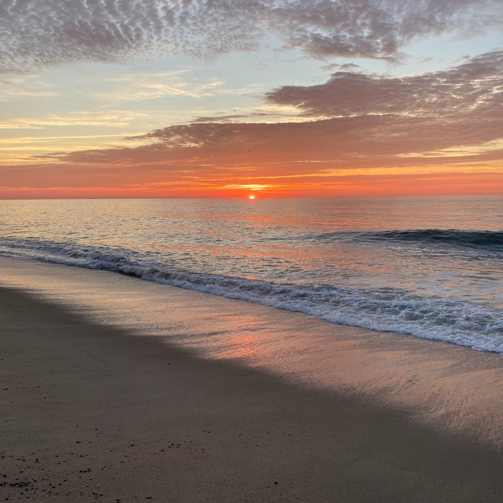 Meet your Posher, Scarlett